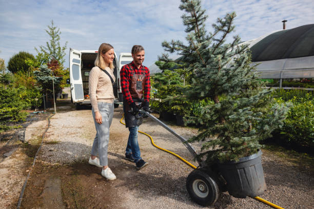 Best Tree Removal  in Concordia, KS